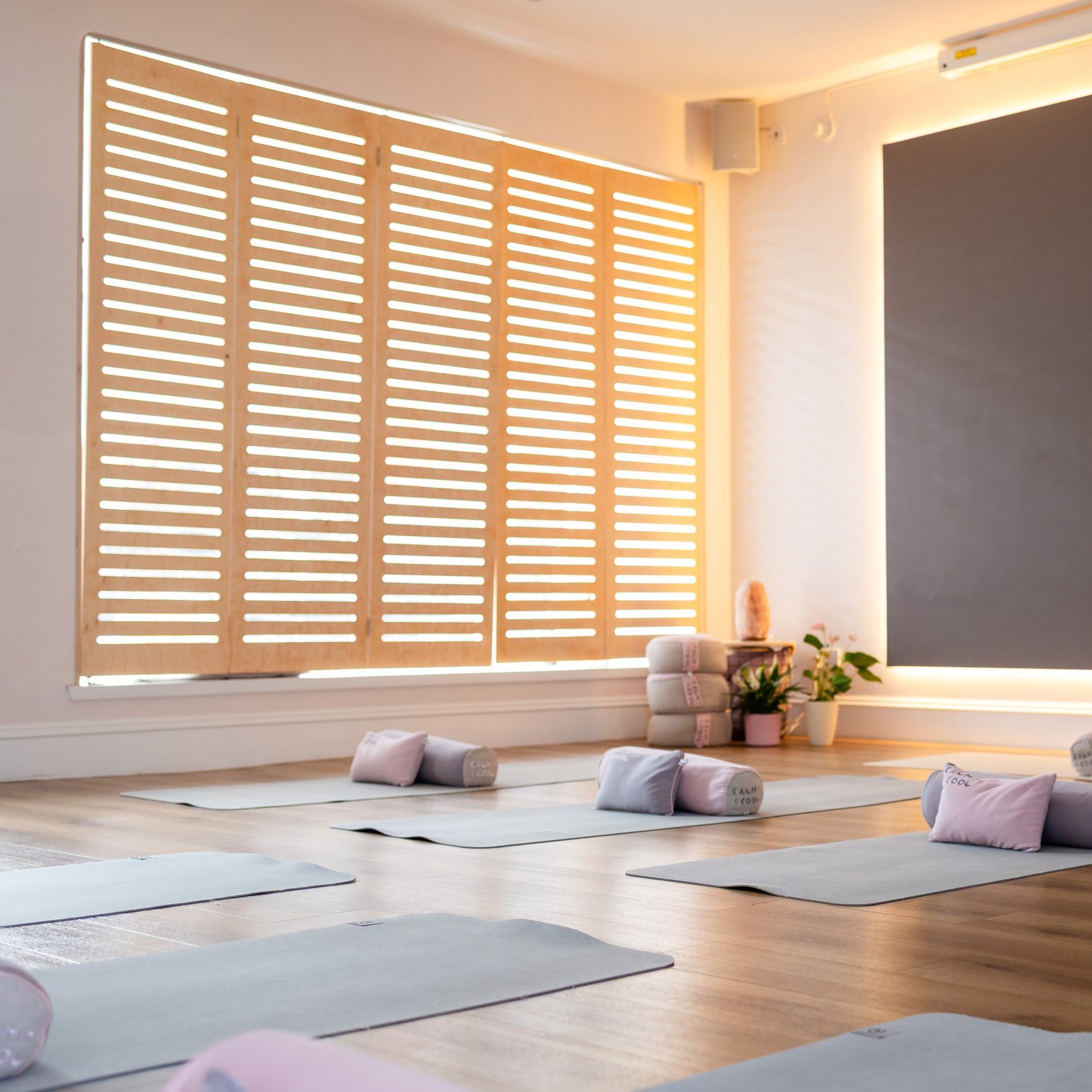 Peaceful yoga studio with mats and bolsters ready for class